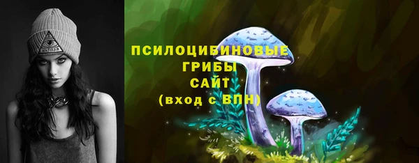 герыч Мегион