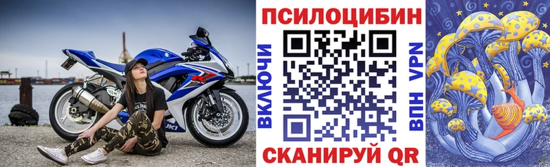Галлюциногенные грибы Psilocybine cubensis  Алексин 